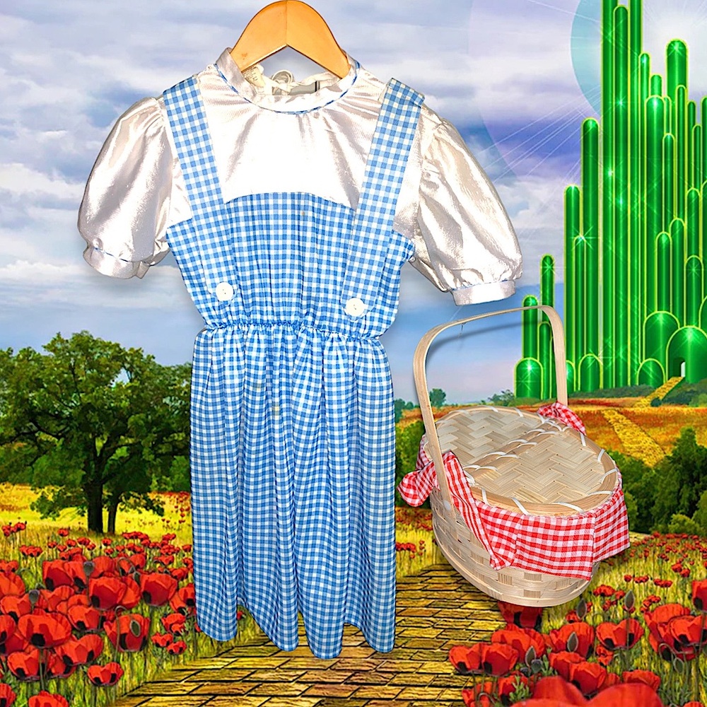 KIDS WIZARD OF OZ DORTHY DRESS HALLOWEEN COSTUME